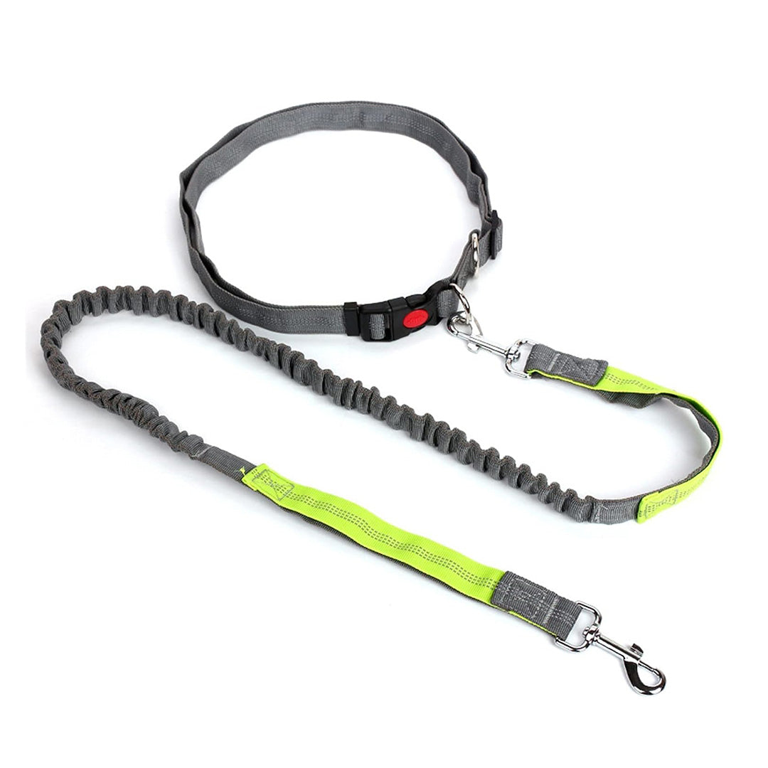 Paw Love - Håndfri Hundesnor / Line Med Elastik Og Bælte