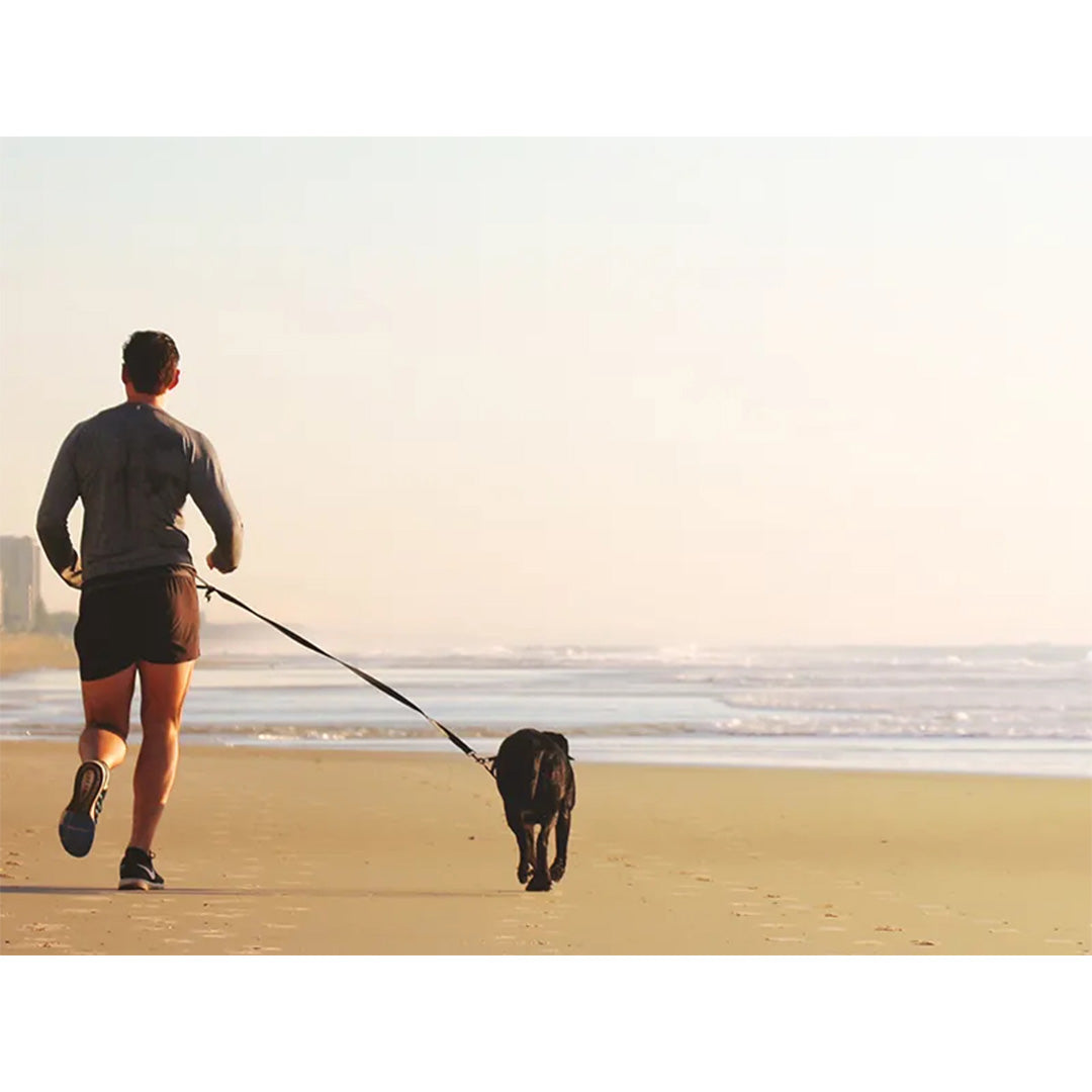 Paw Love - Håndfri Hundesnor / Line Med Elastik Og Bælte