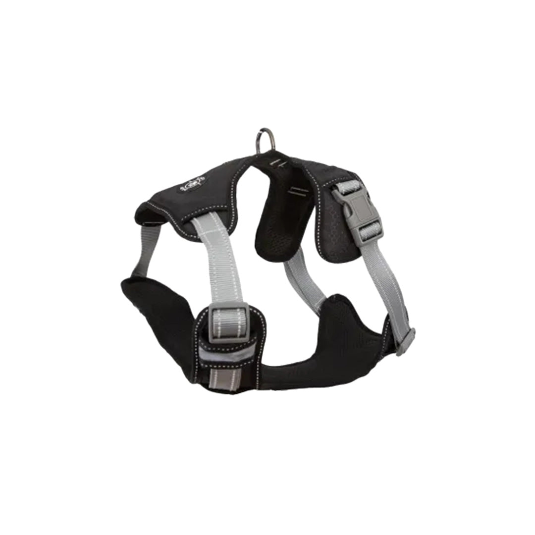 Paw Love - Hunde Y-Sele