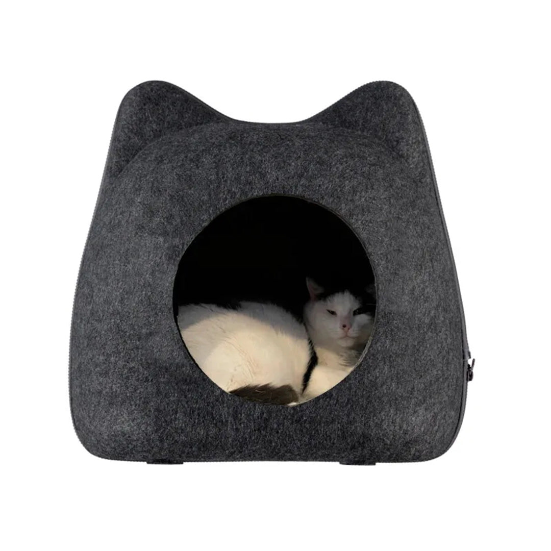 Paw Love - Kattehule Ludvig