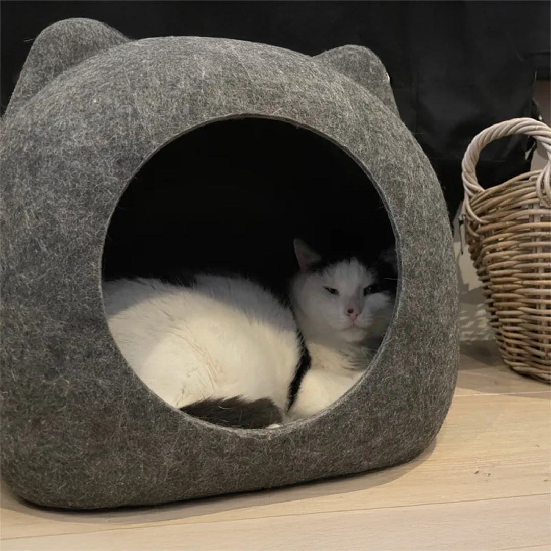 Paw Love - Kattehule Ludvig