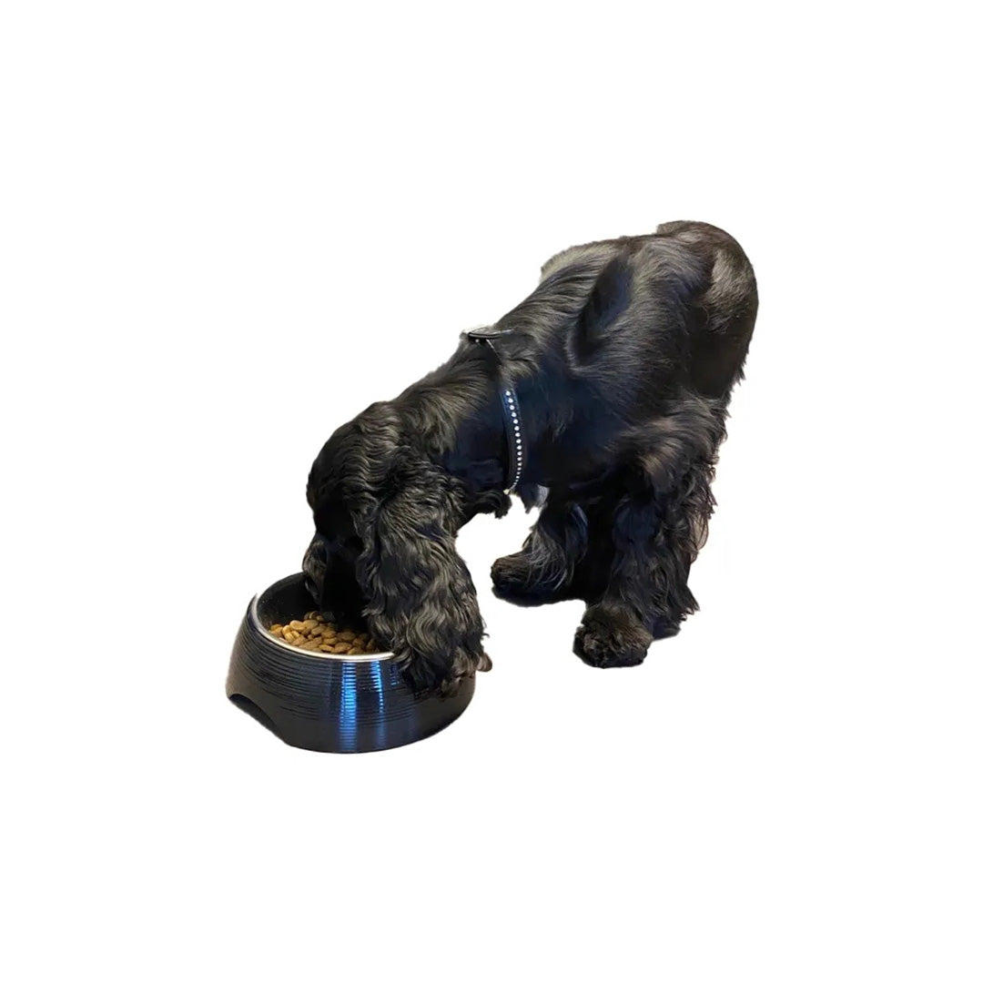 Paw Love - Melamin Skål Med Stålskål