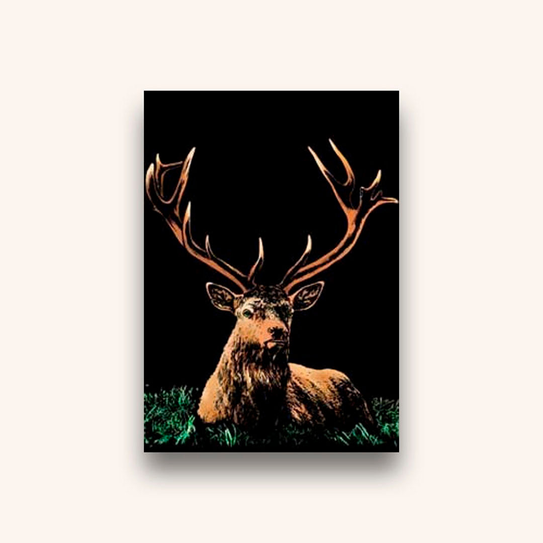 Skrabekort Med Dyretema