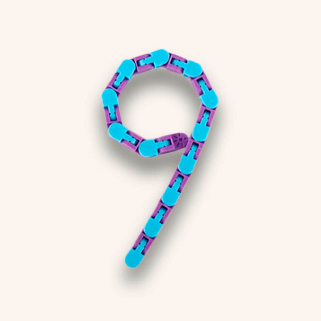 Wacky Track Fidget Toy