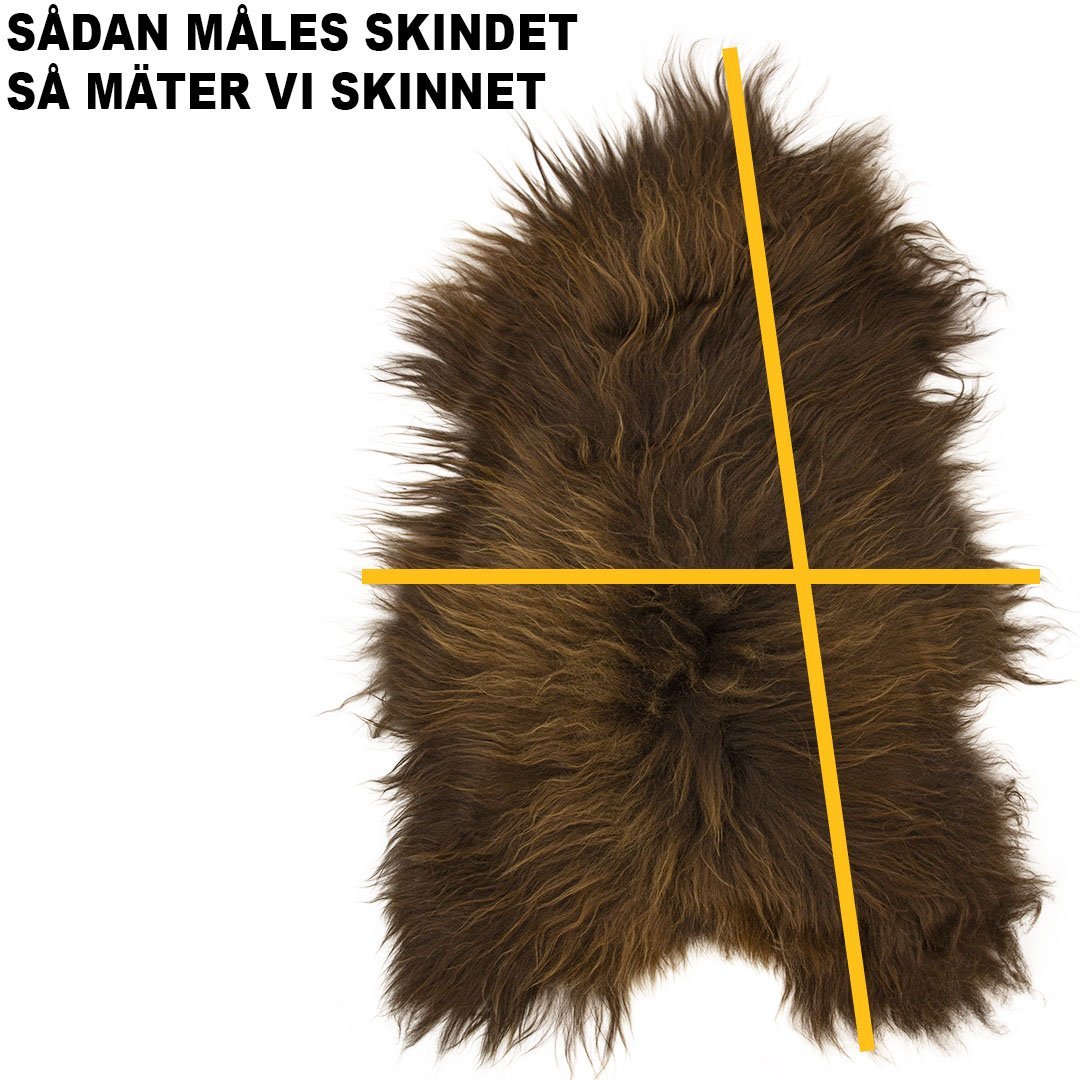 Lammeskind-Islandsk-Langhåret-Lys Konkurspriser ny