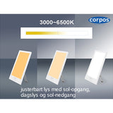 Corpos - LED Lysterapi-Lampe