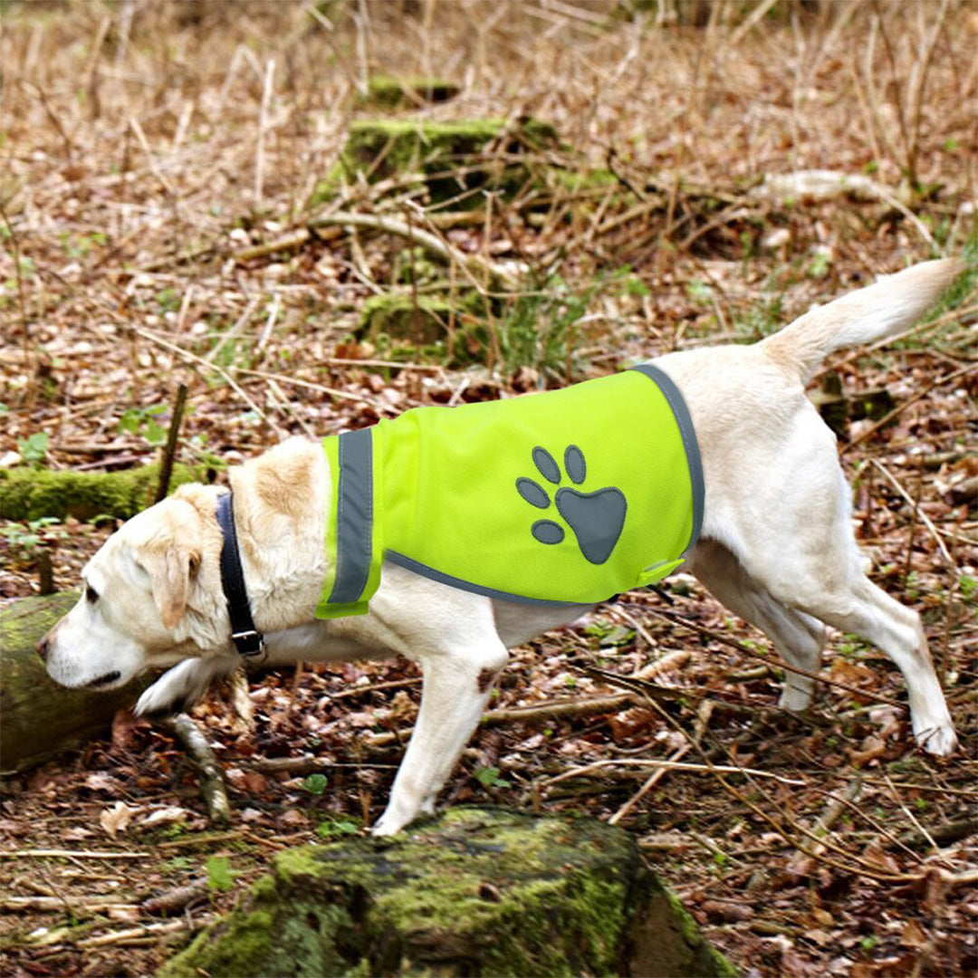 Paw Love - Reflex Hunde Vest
